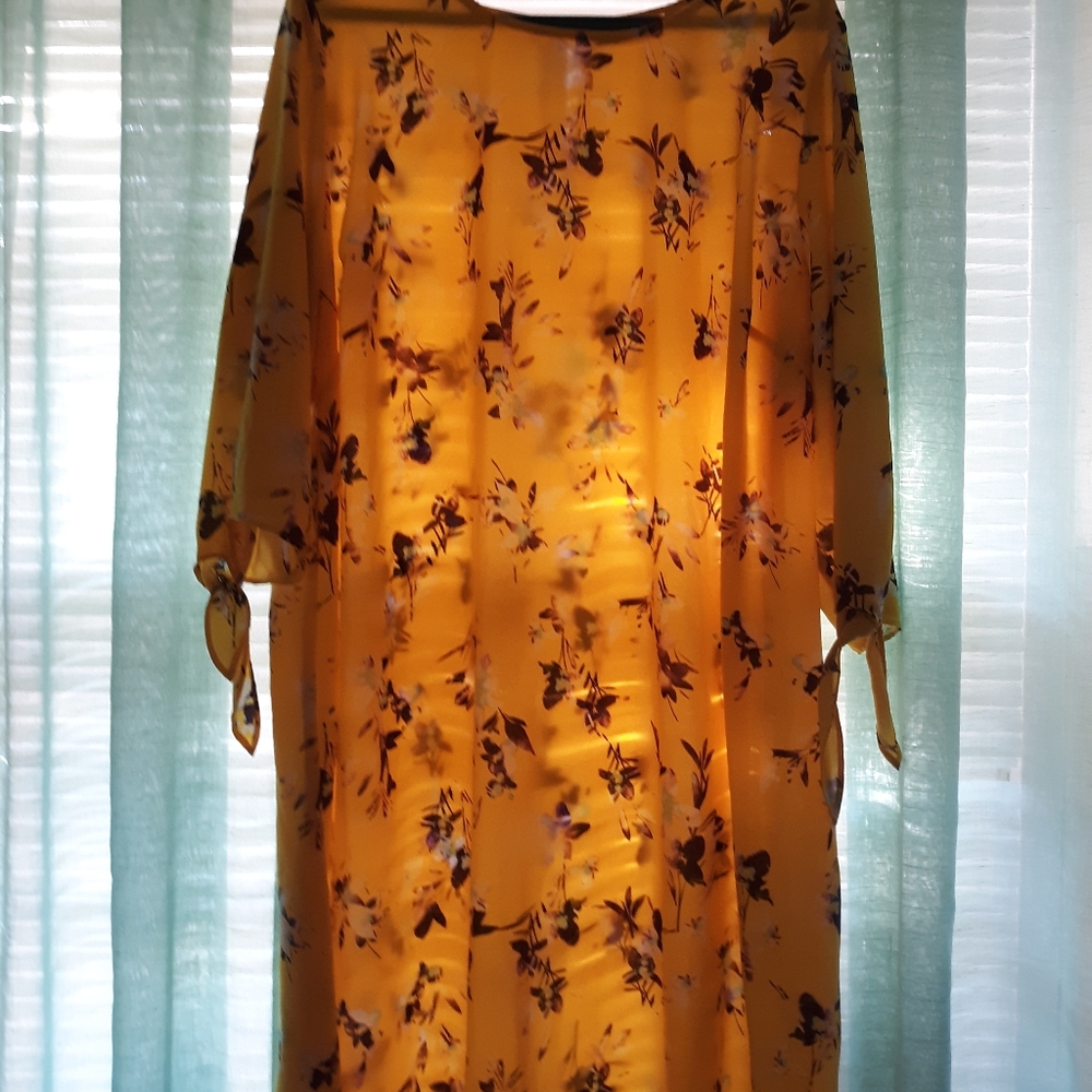 Evri Dress sz 3
